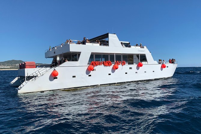 Whale Watching Cruise in Cabos San Lucas and Ground Transportation - The Itinerary Flow, Piece by Piece
