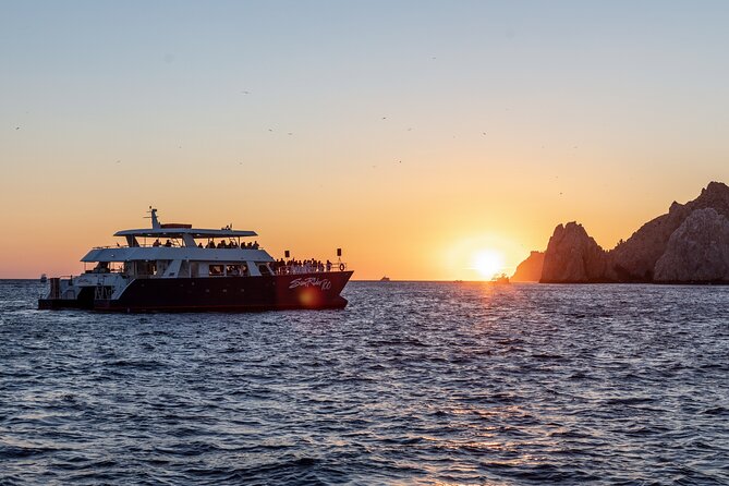 Whale Watching Dinner Cruise in Cabo San Lucas - Dinner buffet and open bar: good value if you go with the right mindset