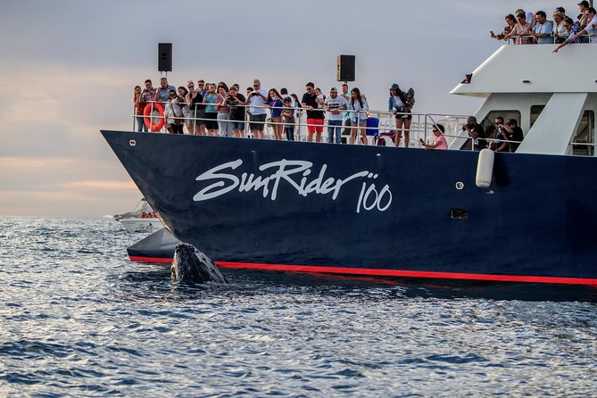 Whale Watching Dinner Cruise in Cabo San Lucas - The crew show and dance floor, when you want fun after the whales