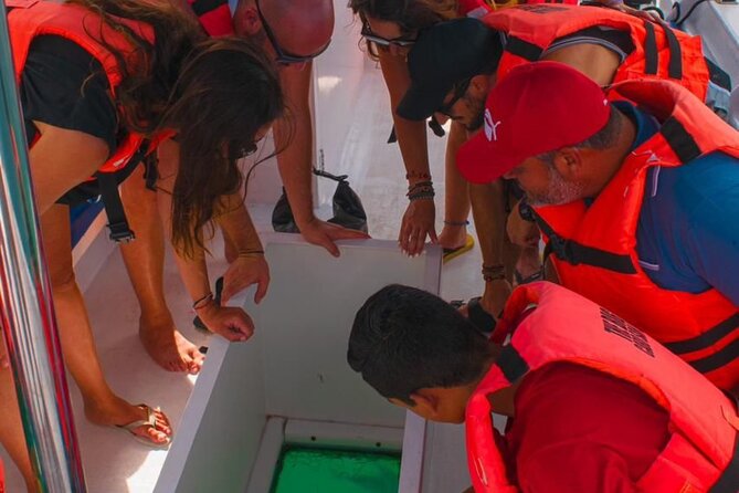 Whale Watching Experience in Cabo San Lucas 2 hours - Restroom, water, and what to bring just in case