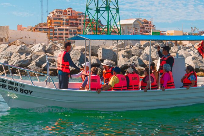 Whale Watching Experience in Cabo San Lucas 2 hours - Price check: what you get for $40 in Cabo