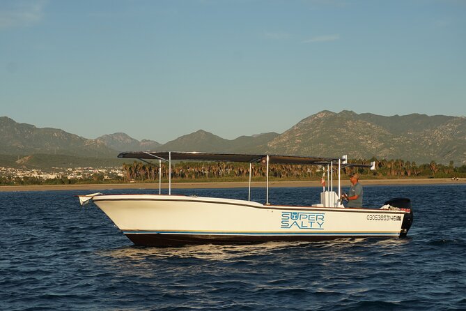 Whale Watching Group Tour in San Jose del Cabo - Where you meet and how the tour runs (2 hours, small boat vibes)