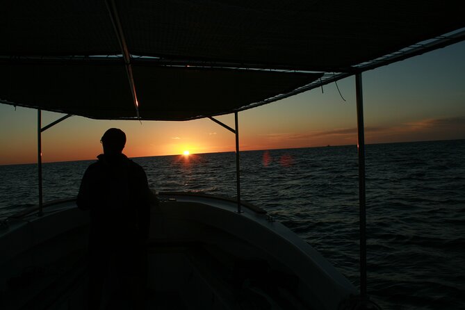 Whale Watching Group Tour in San Jose del Cabo - Price and value: is $99 actually fair?