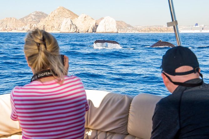 Whale Watching in Cabo San Lucas on board our Luxury Trimaran! - Key things I’d highlight before you book