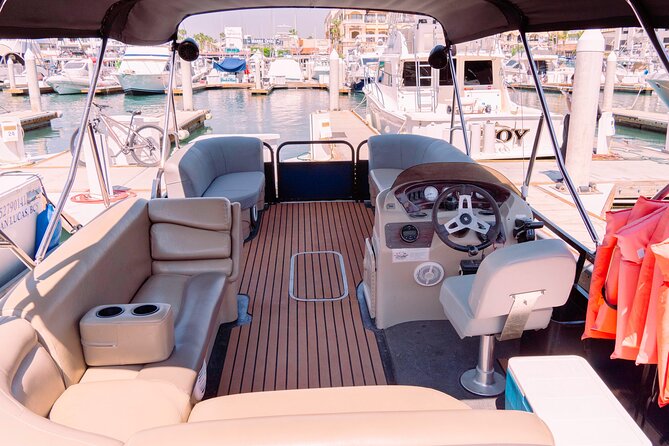 Whale Watching in Cabo San Lucas on board our Luxury Trimaran! - What the 2-hour cruise looks like, start to finish