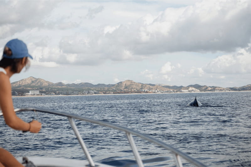 Whale Watching in San Jose del Cabo - Snacks and onboard refreshments: small comfort, big payoff