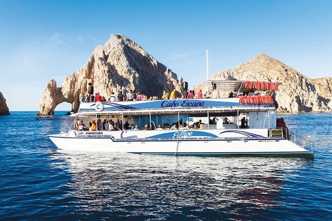Whale Watching on 2 Level Big Boat with Breakfast and Drinks INCLUDED - Breakfast buffet and drinks included: the best part of an early start