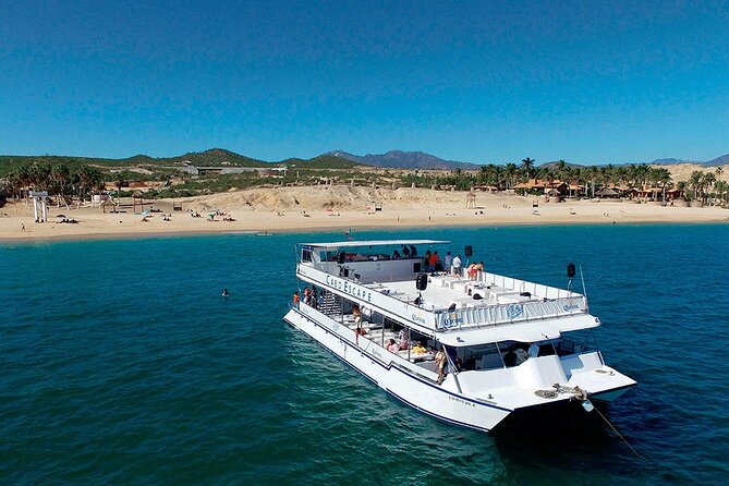Whale Watching on 2 Level Big Boat with Breakfast and Drinks INCLUDED - Price and what you really get for $90