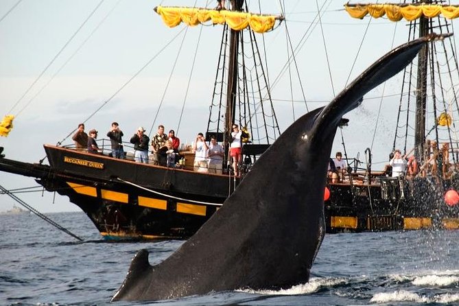 Whale-Watching Pirate Ship Cruise in Los Cabos - Pirate-Ship Entertainment That Works for Families