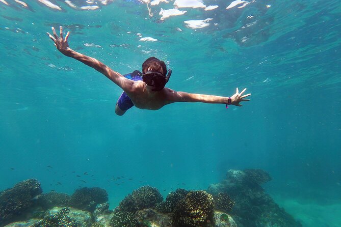 Whale Watching & Snorkeling Combo in Los Cabos with Photos Included - Key highlights