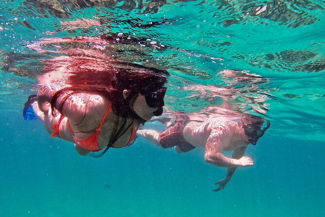 Whale Watching & Snorkeling Combo in Los Cabos with Photos Included - Where you start in Cabo San Lucas and how the tour ends