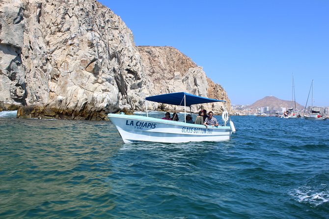 Whale Watching Tour in Glass Bottom Boat (VisitA Cabo) - Price and dock fee math: what $70 really becomes