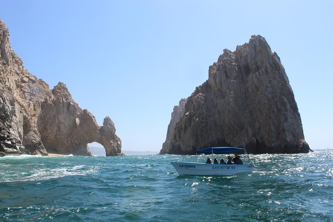 Whale Watching Tour in Glass Bottom Boat (VisitA Cabo) - Departure times and finding the marina at Blvd. Paseo de la Marina 36