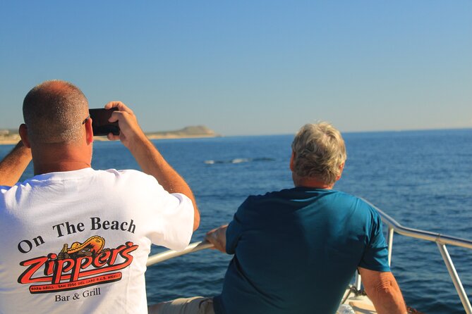 Whale Watching Warranty in San José del Cabo Snacks and drinks - English-friendly guidance and a crew that matches the small boat