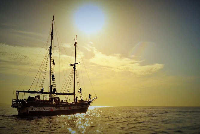 Yo Ho Pirate Sunset Dinner Cruise in Cabo San Lucas - Should You Book This Pirate Sunset Dinner Cruise in Cabo?