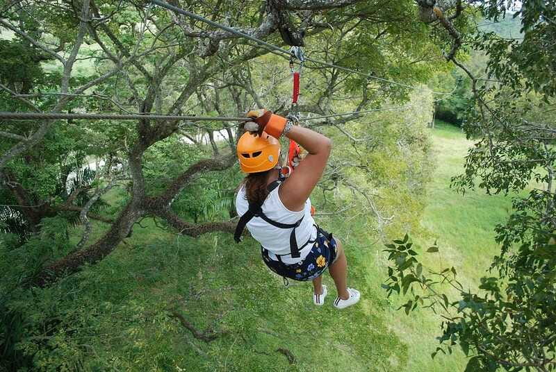 Zip-line outdoor adventure the ultimate experience - What happens during pickup, drop-off, and the order of the day